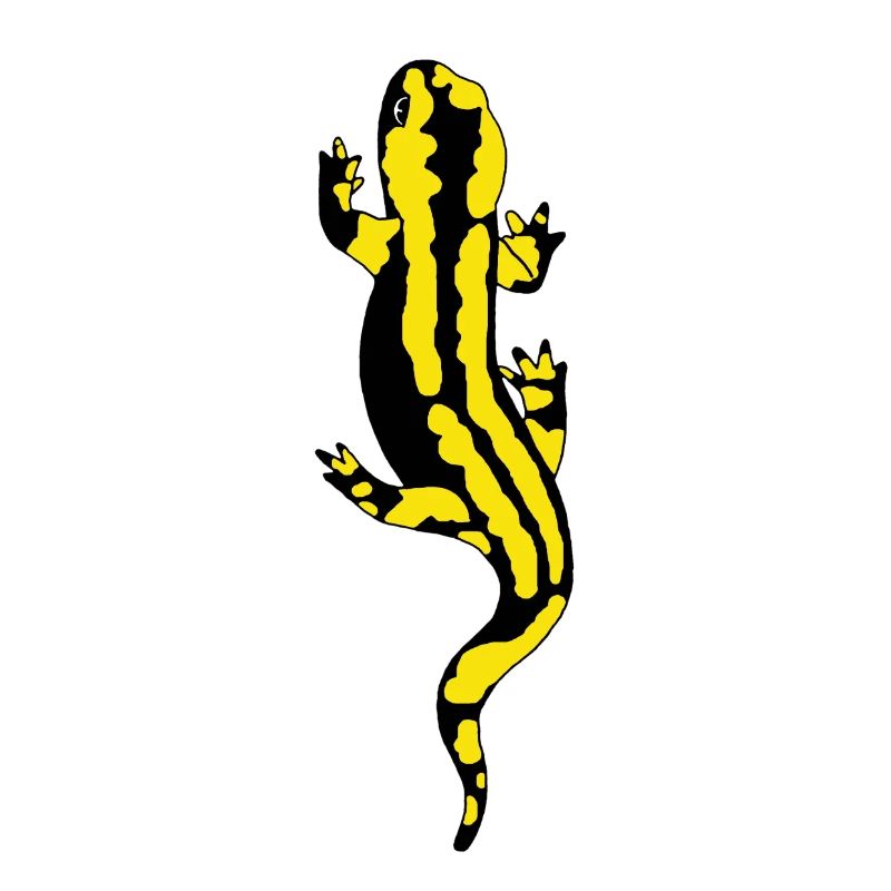 Salamander