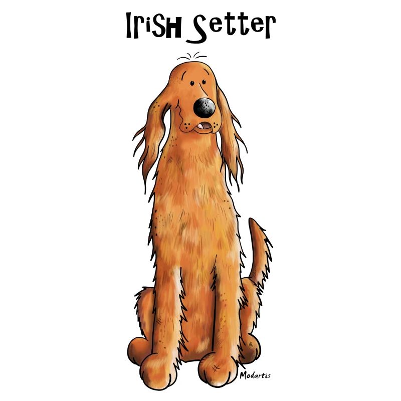 Happy Irish Setter