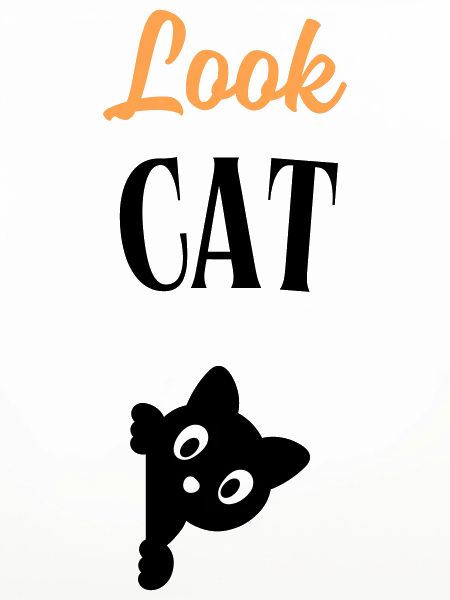 Look Cat