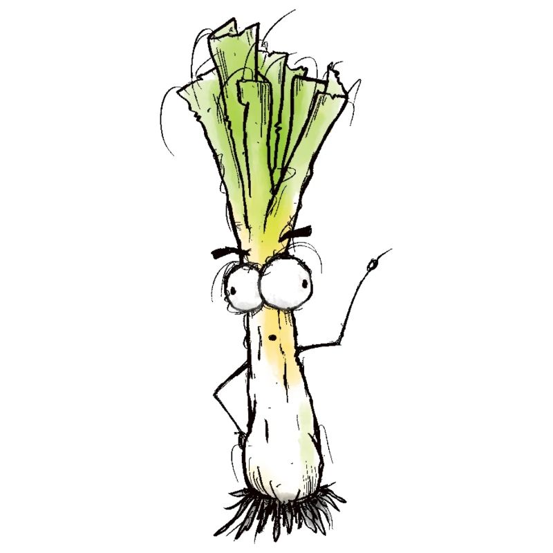 Leek