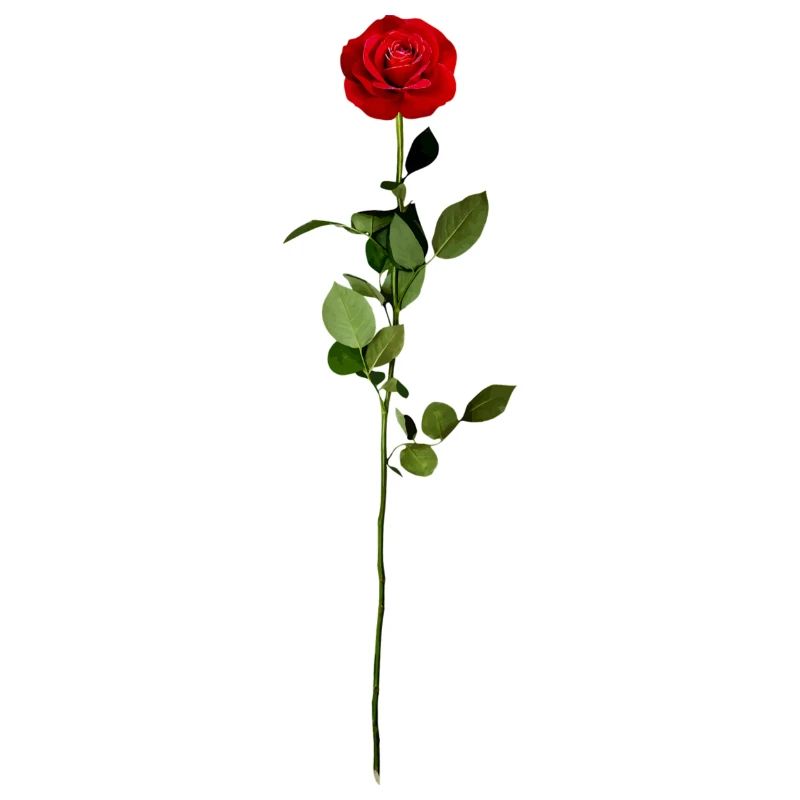 Rote Rose
