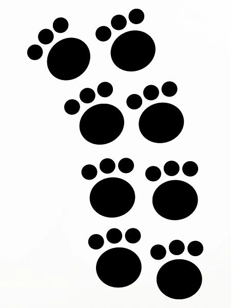tatzen