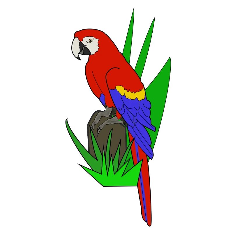 parrot