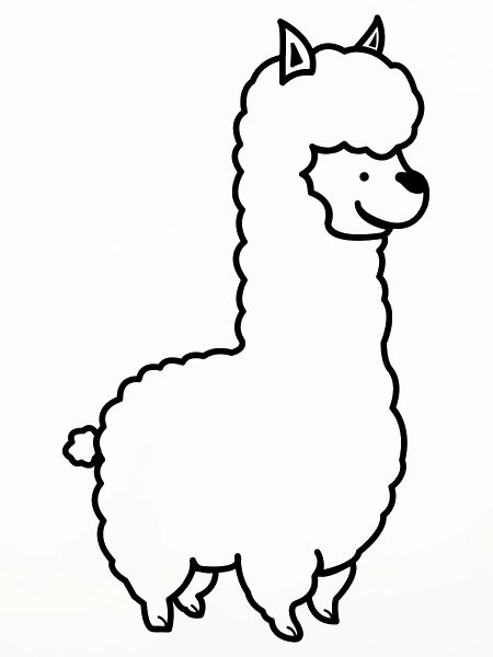 Alpaca