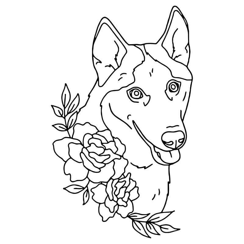 Hund