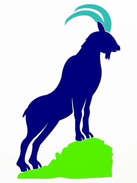 steinbock 02