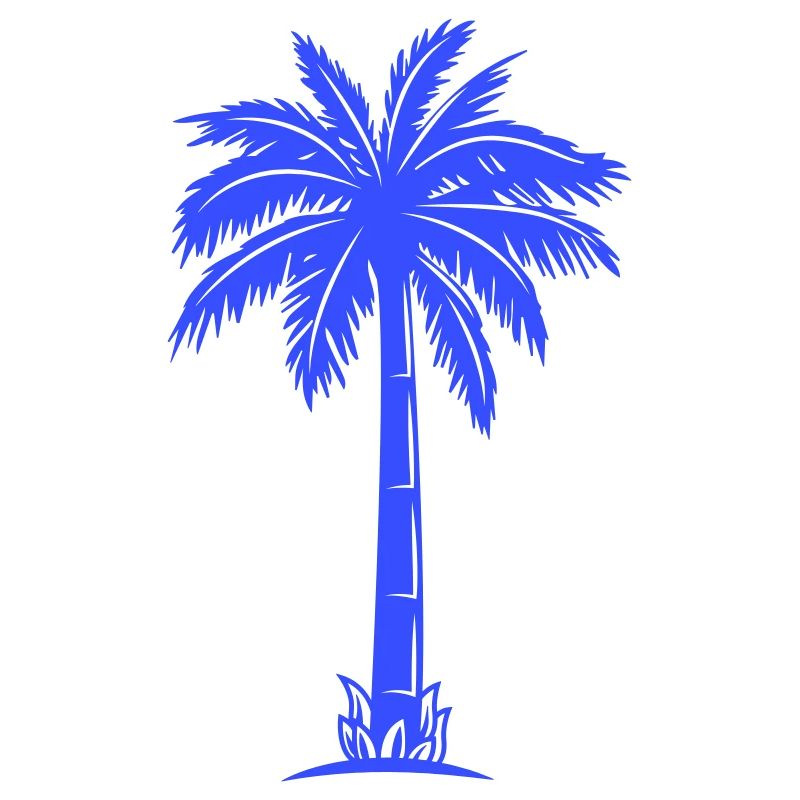 Palm Tree Silhouette