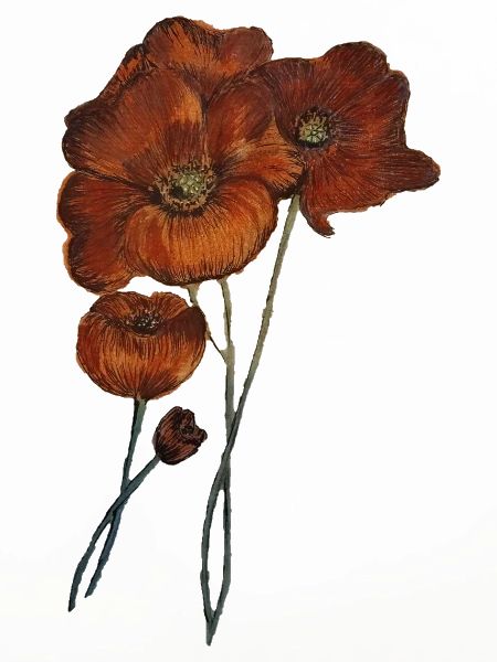 MOHNBLUMEN