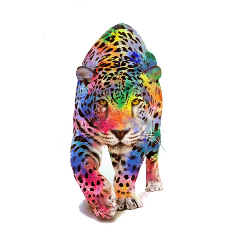 Léopard multicolore