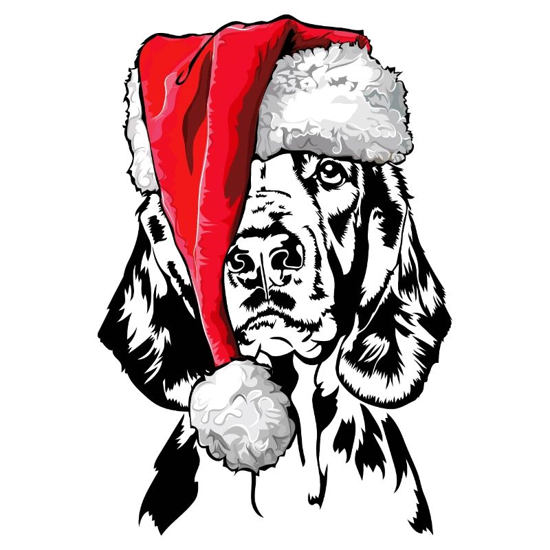 Santa Welsh Springer Spaniel Christmas Wilsigns