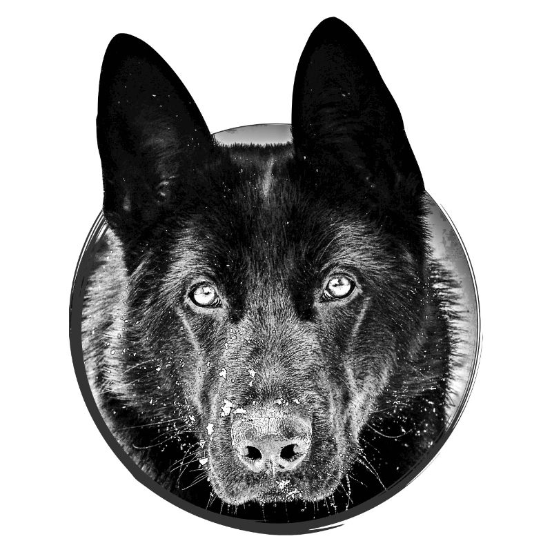 Schäferhund
