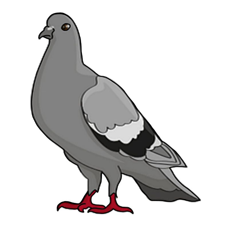 Taube
