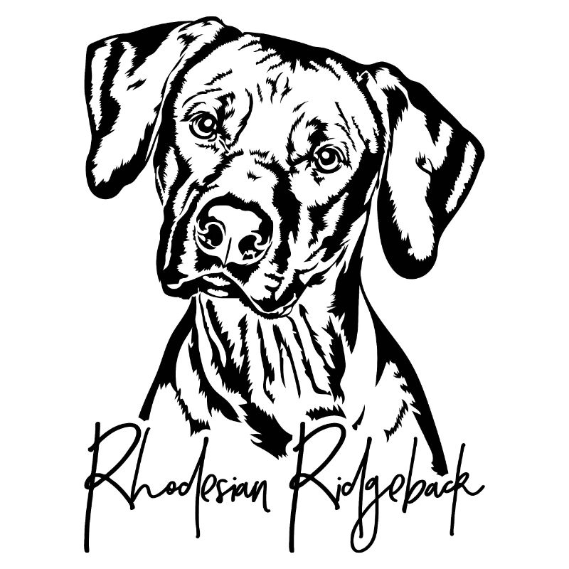 RHODESIAN RIDGEBACK Hunde Portrait Wilsigns
