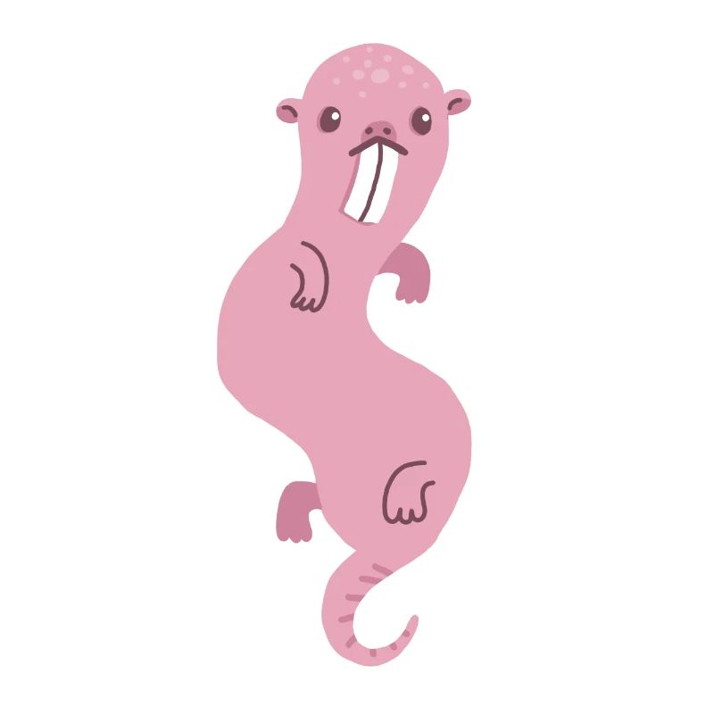 Nacktmull