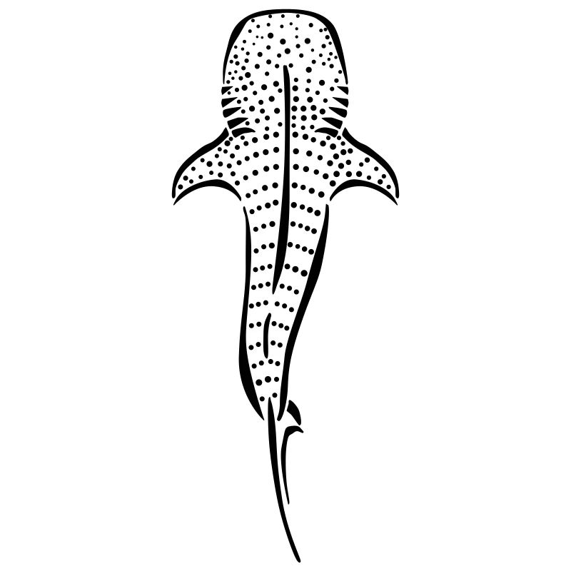 whaleshark