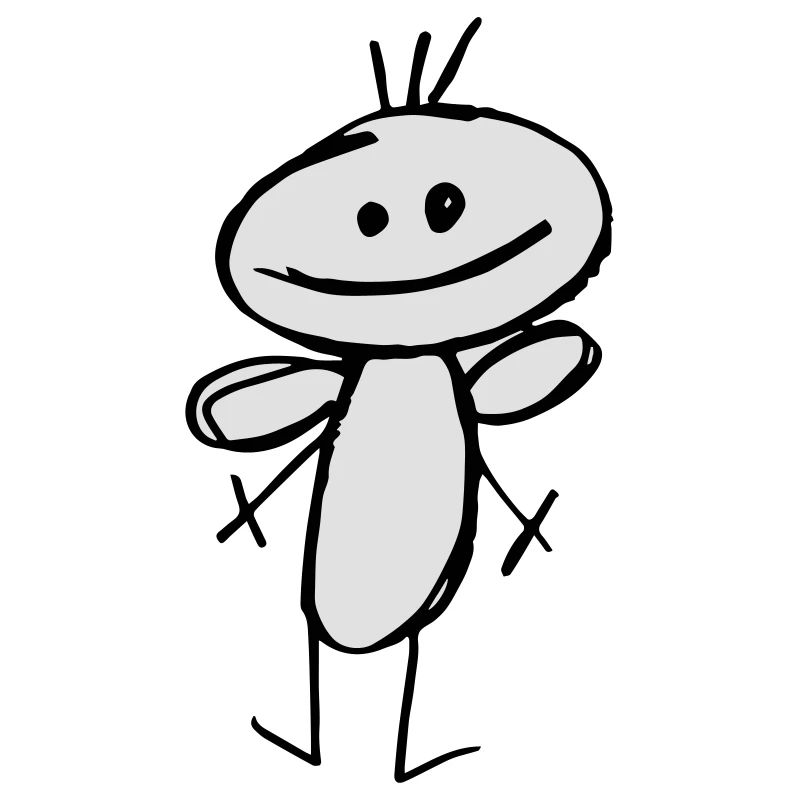 Mr Fly