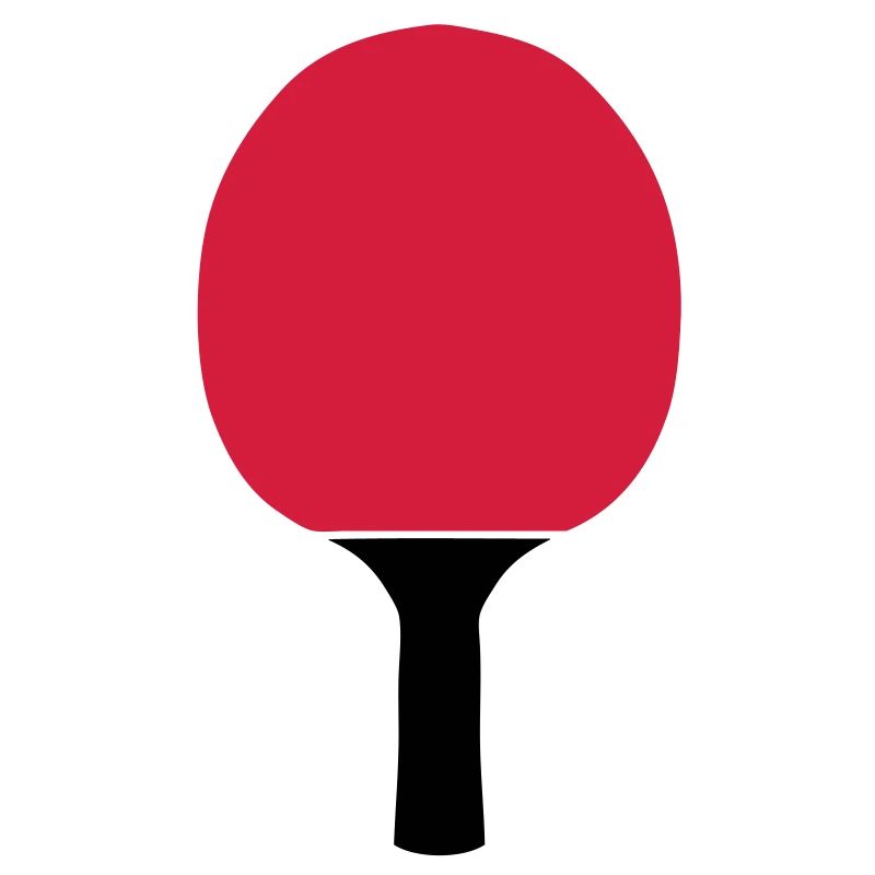 raquette pingpong tennis table racket