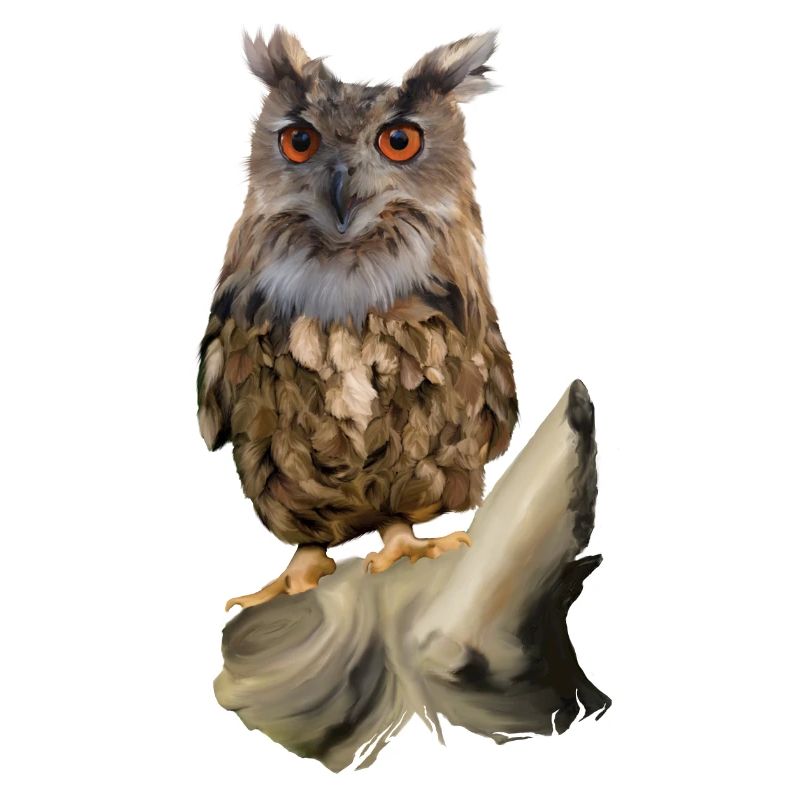Eule