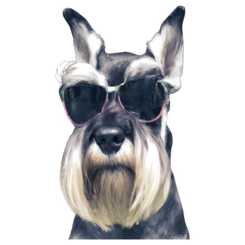 Miniature Schnauzer