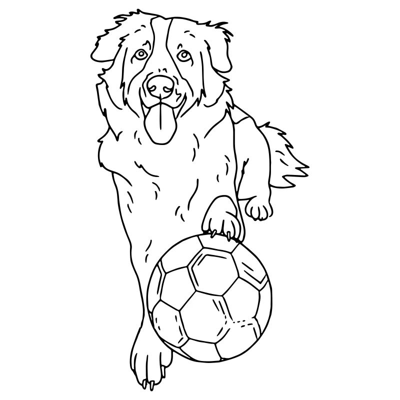 Hundefußball