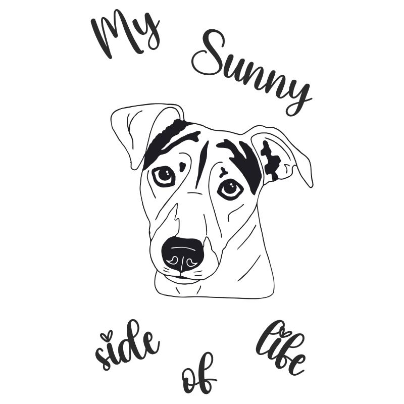 Jack Russell Terrier