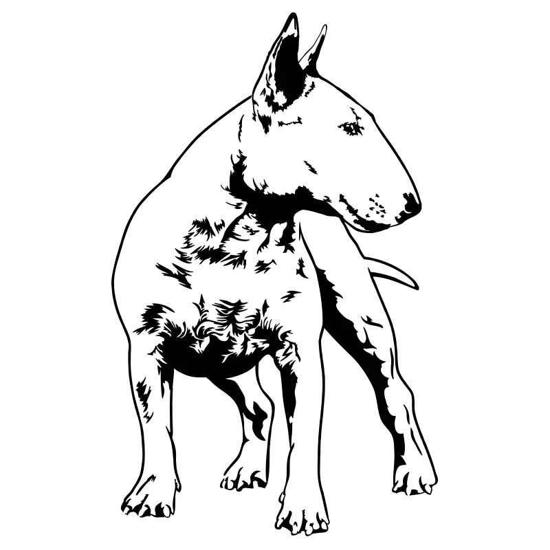 BULLTERRIER Hundeportrait Wilsigns Bull Terrier