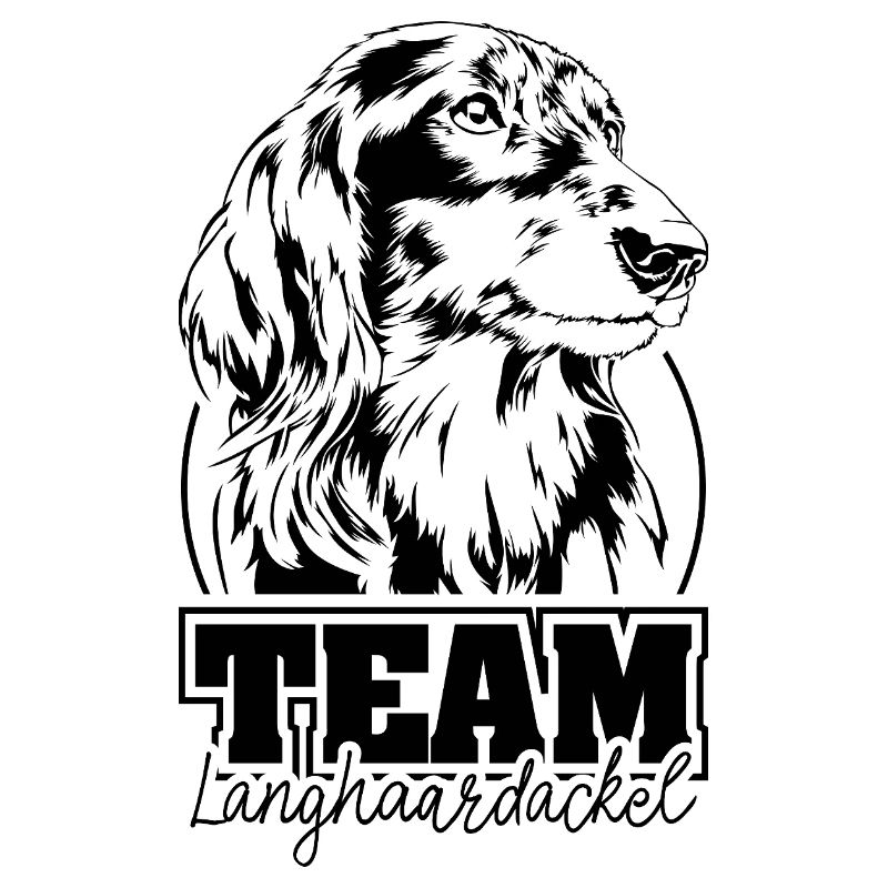ÉQUIPE Teckel à poil long Chien Chiens Wilsigns