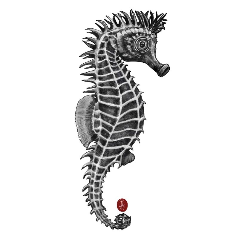 Seepferdchen