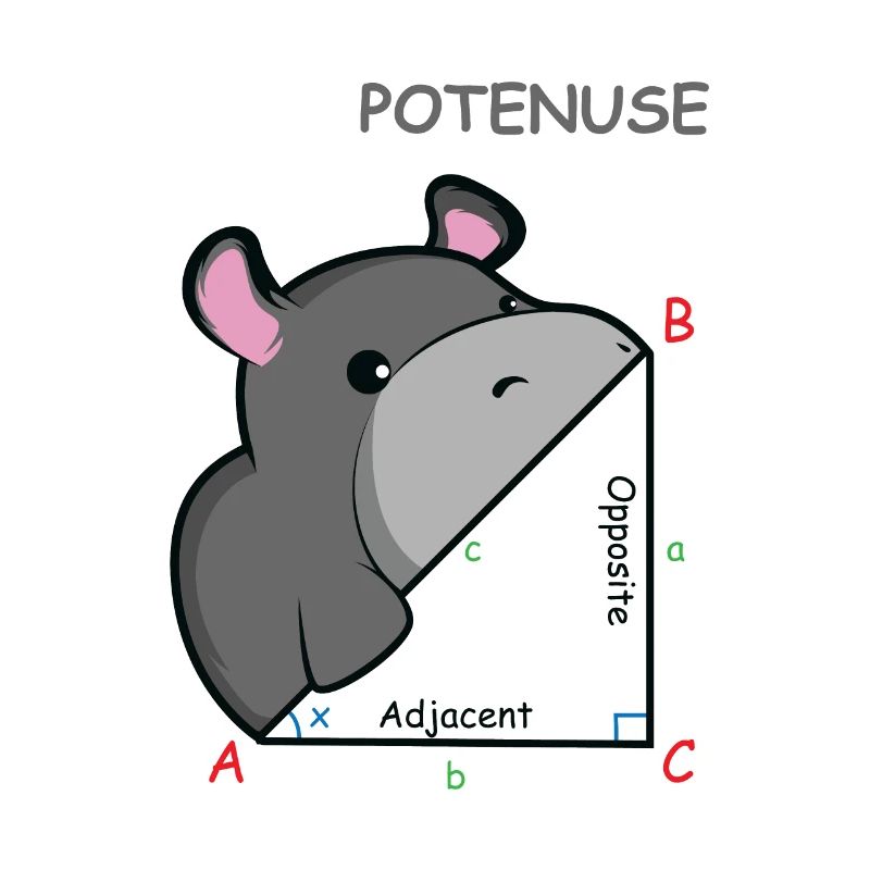 Hippopotenuse Math Genius Gift