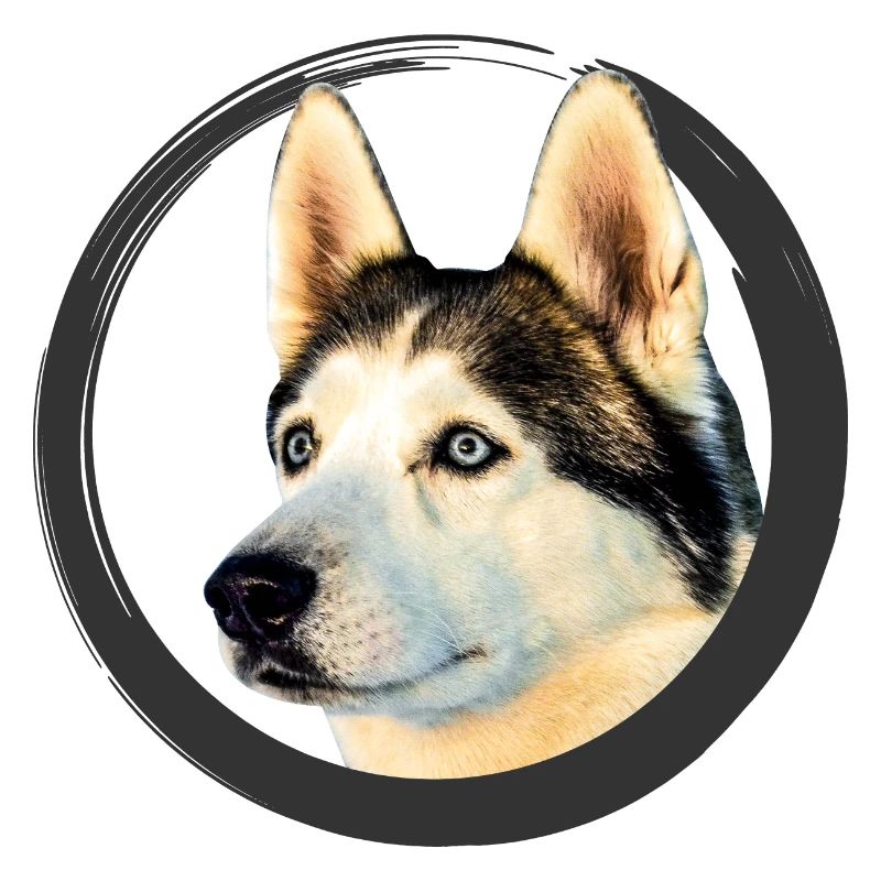 Husky