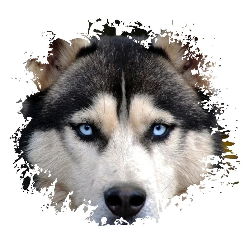 Husky