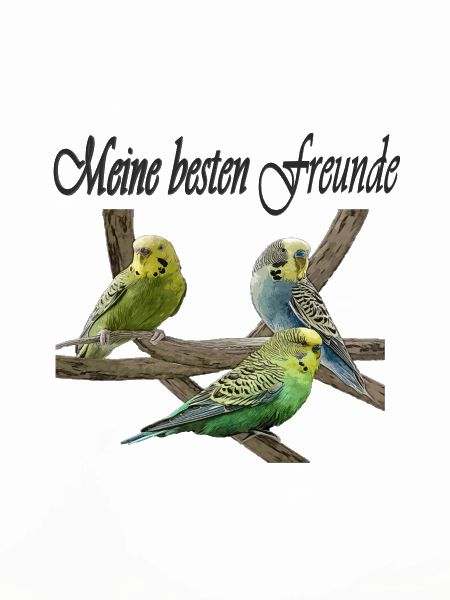 Wellensittiche