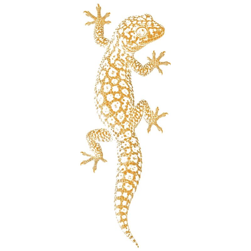 Gecko léopard