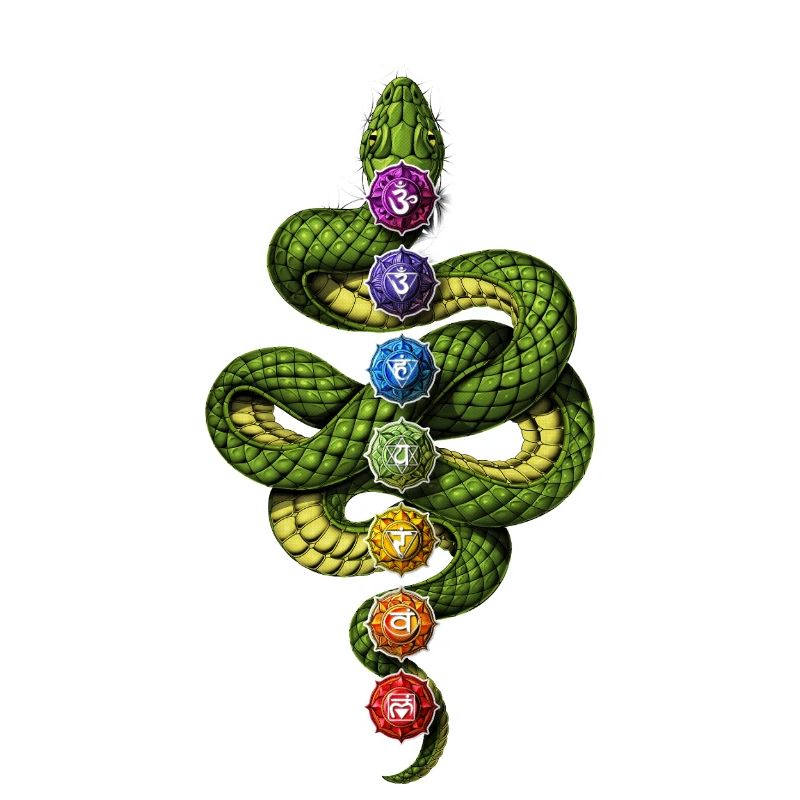 Kundalini Chakra