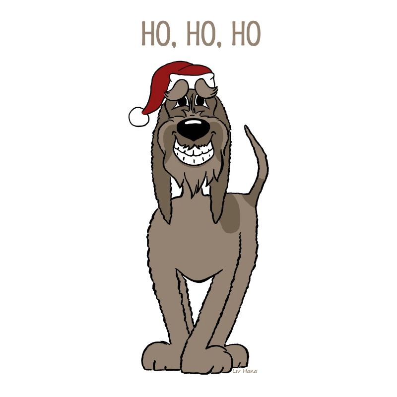 Spinone dunkel Santa