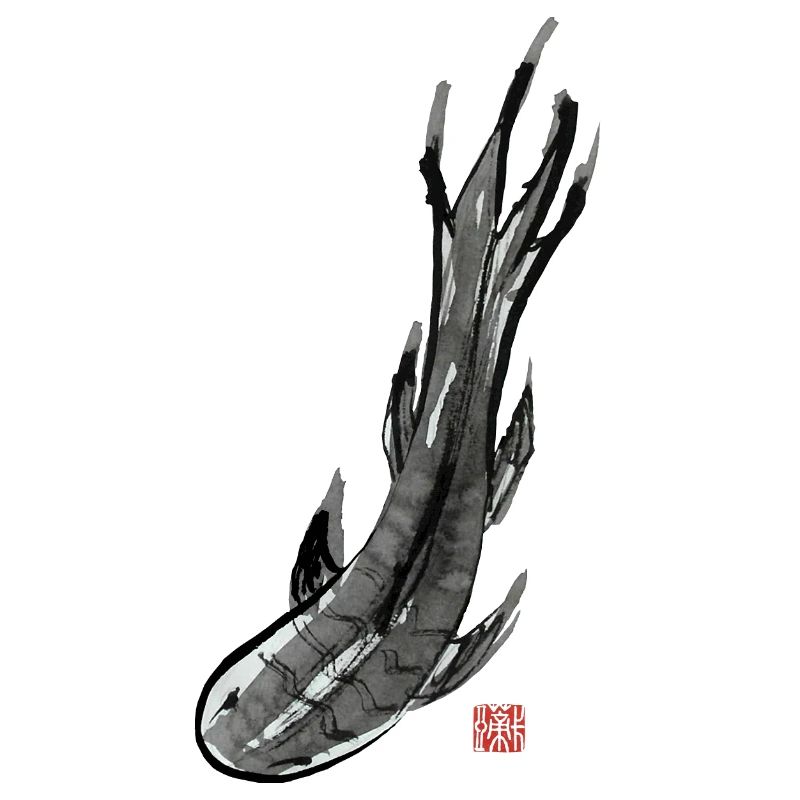 Koi Fish