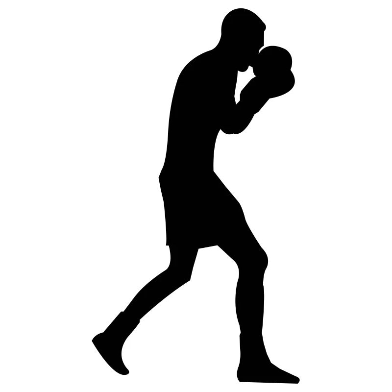 boxer