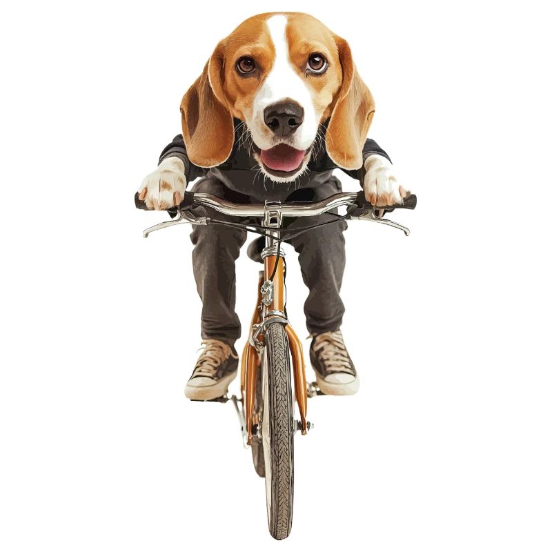 Beagle