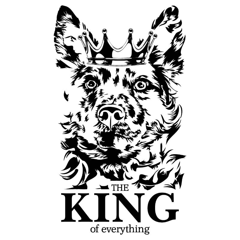 Mudi Roi de tout Dire Chiens Wilsigns