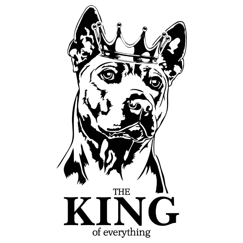 Thai Ridgeback King of everything Hunde Wilsigns