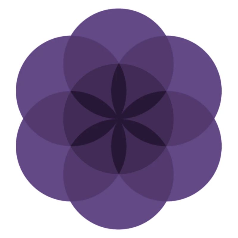 violette Lebensblume
