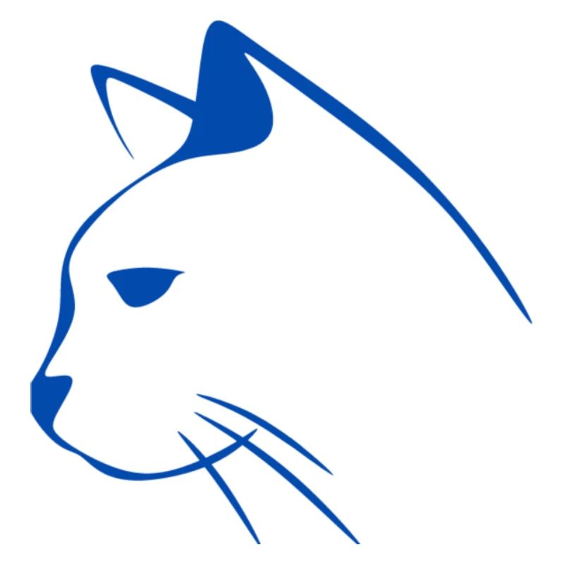 Chat chat chat chat de chat cadeau