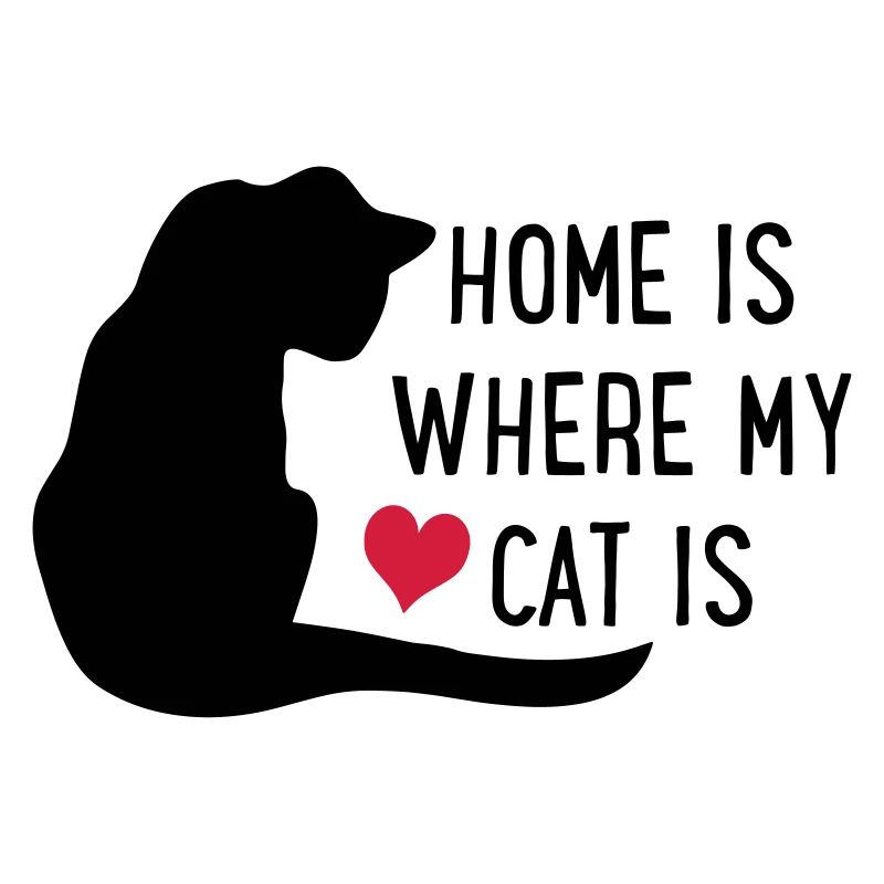 Katze
