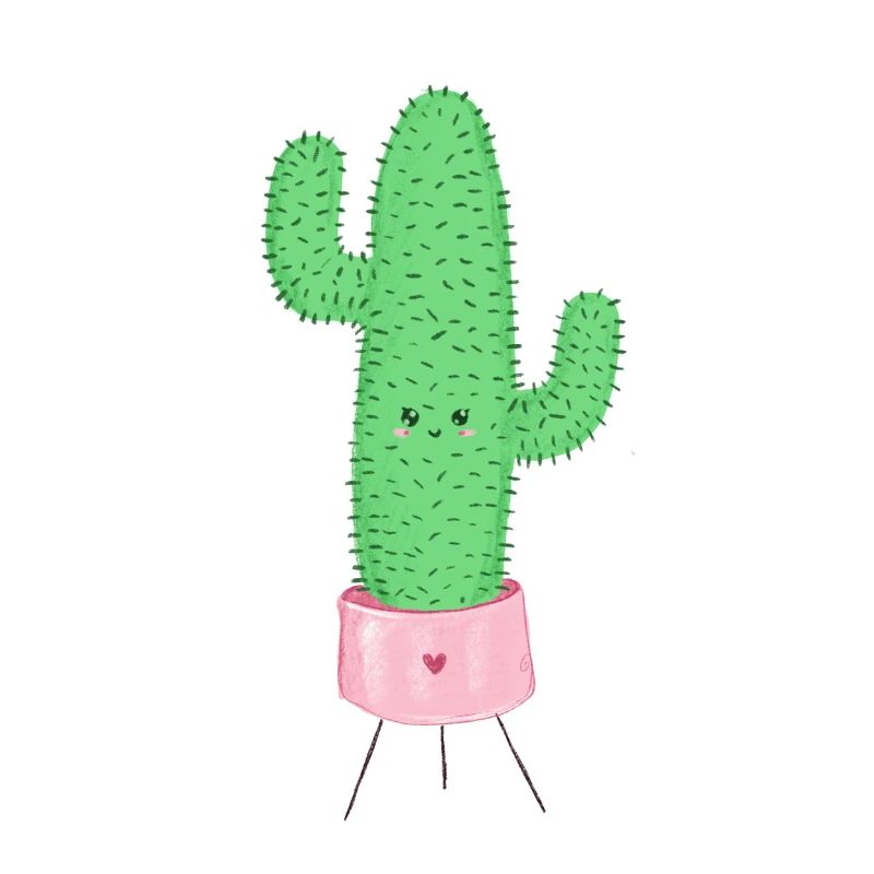 Sweet cactus