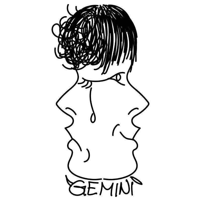 Gemini Twin Design