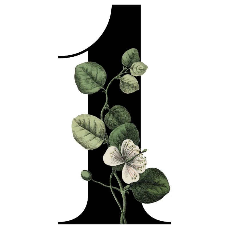 Nummer 1 Blumengrün -1. Blumengeburtstag