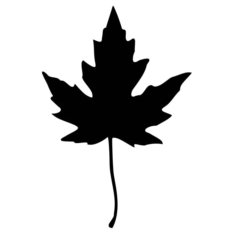 feuille d'érable