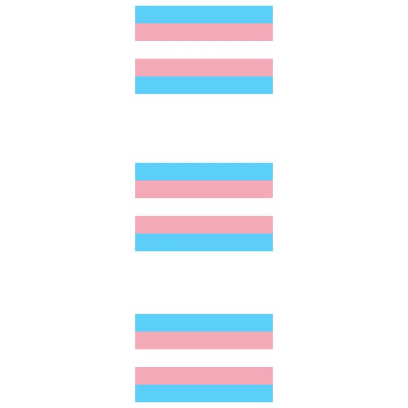Drapeaux de la Fierté Trans