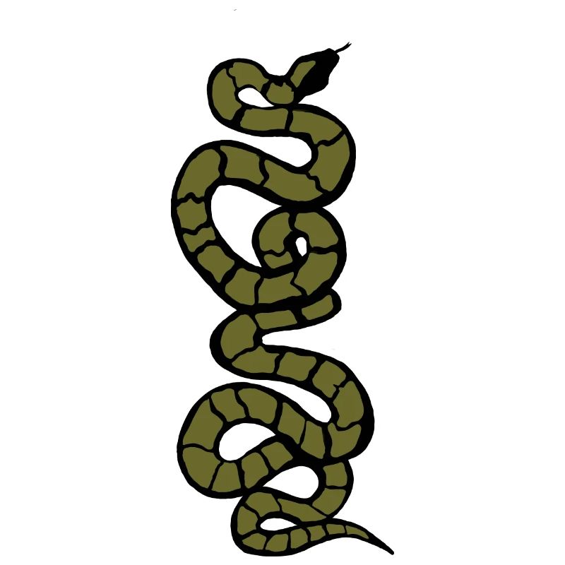 Schlange Python grün