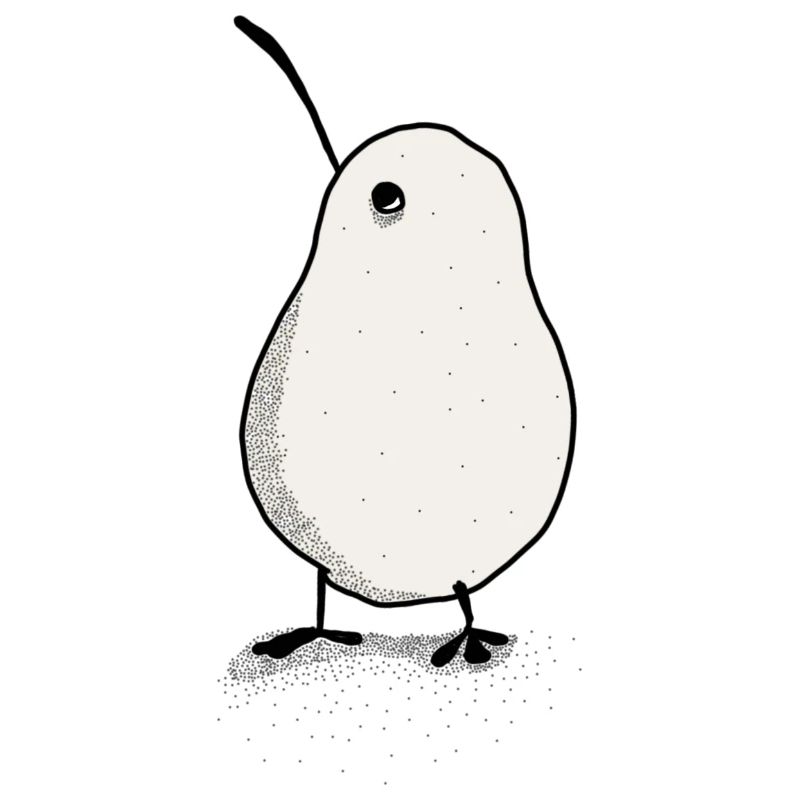 Kiwi